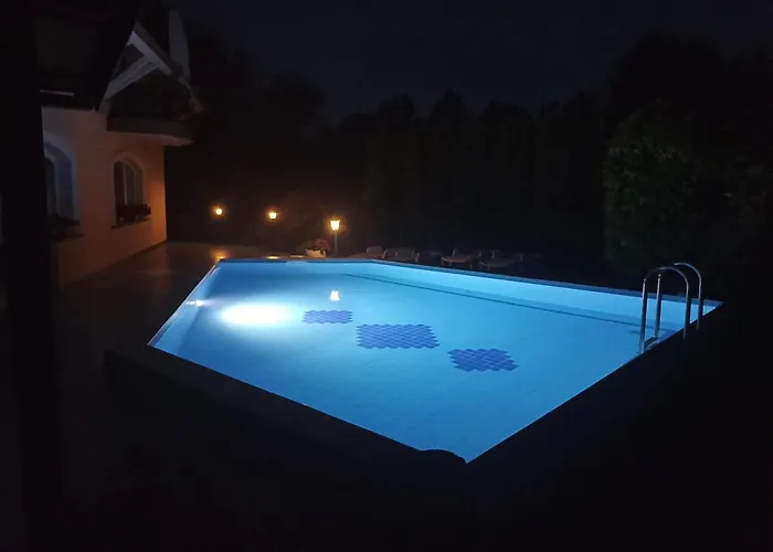 Muschel Panzio 케츨리